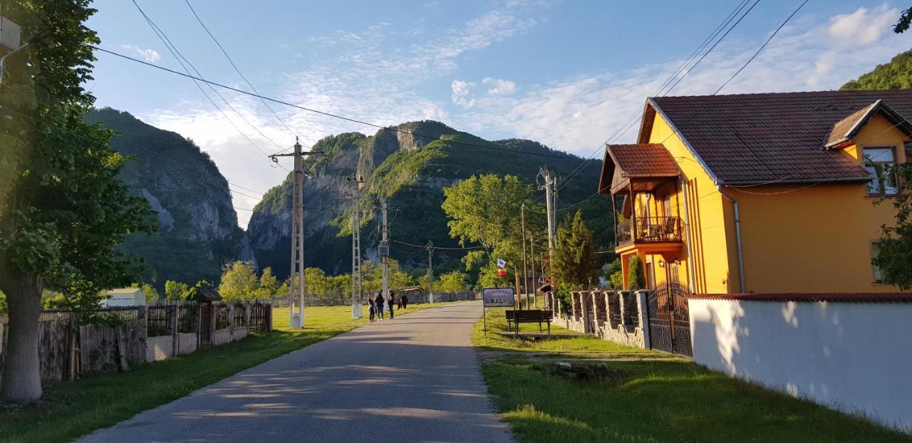 Pensiunea Miraj Polovragi Buitenkant foto