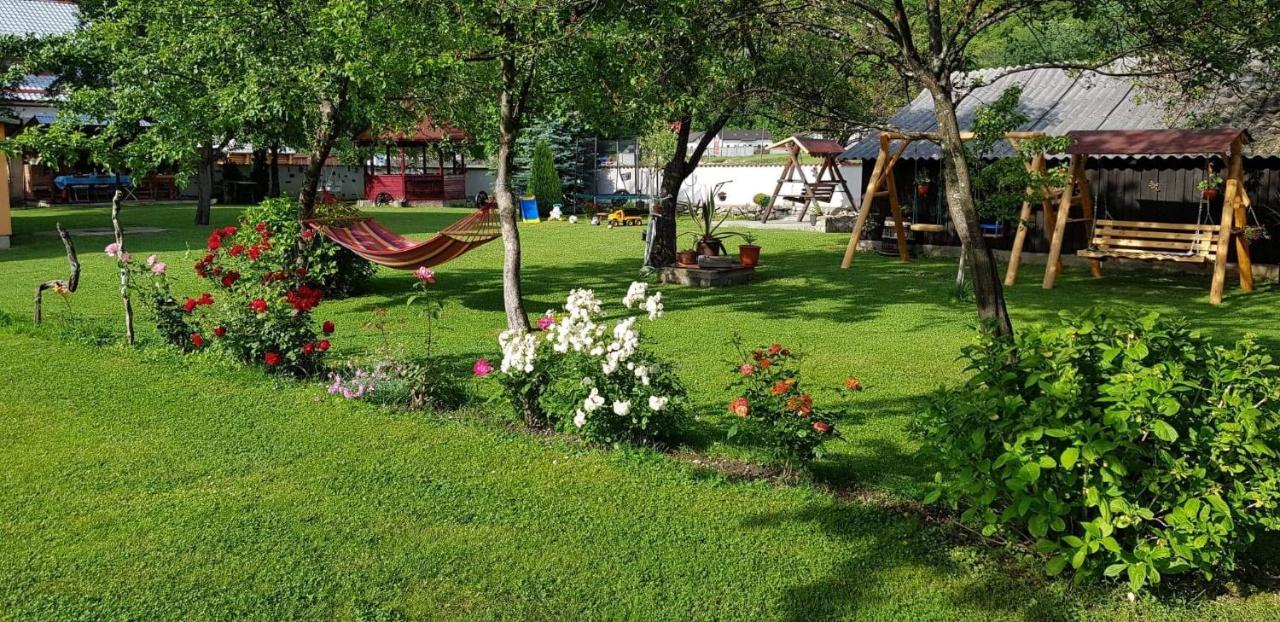 Pensiunea Miraj Polovragi Buitenkant foto