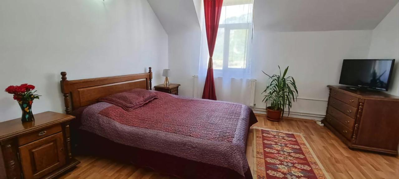 Pensiunea Miraj Polovragi Buitenkant foto