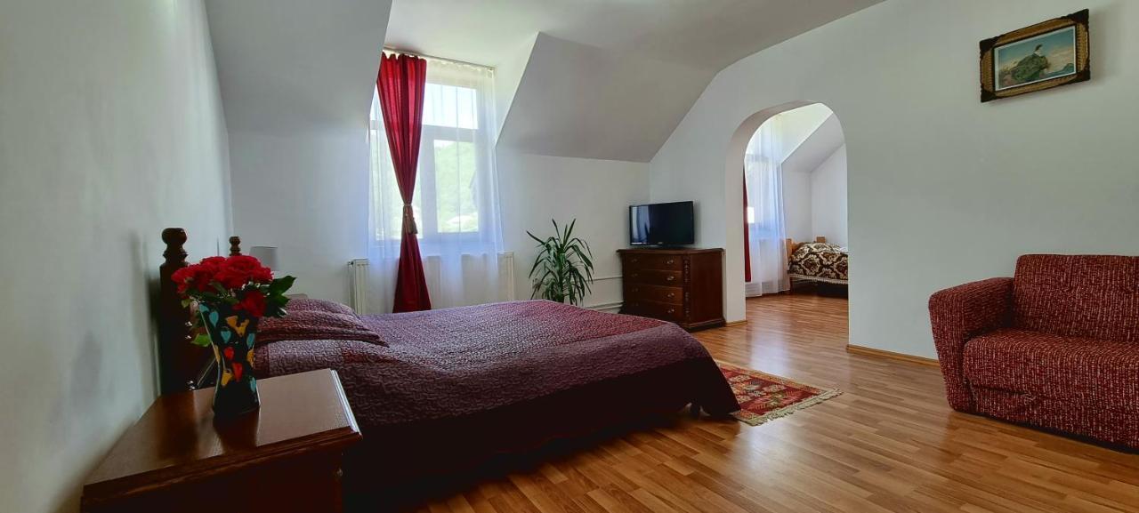 Pensiunea Miraj Polovragi Buitenkant foto