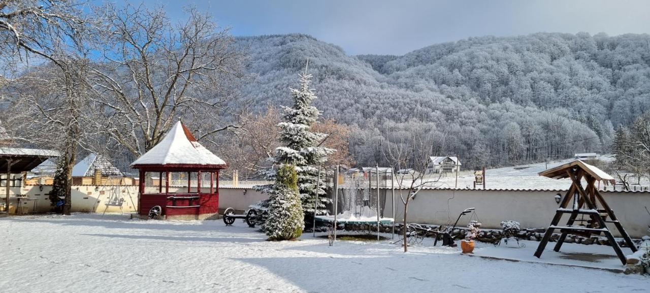 Pensiunea Miraj Polovragi Buitenkant foto