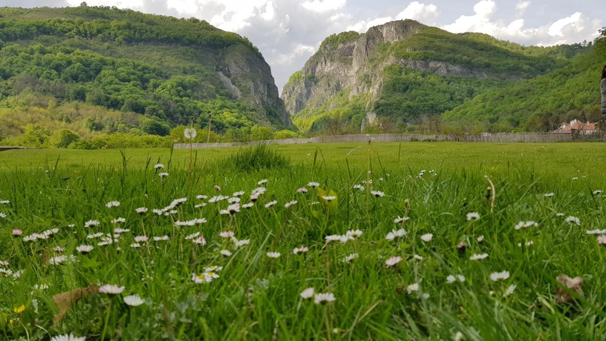 Pensiunea Miraj Polovragi Buitenkant foto