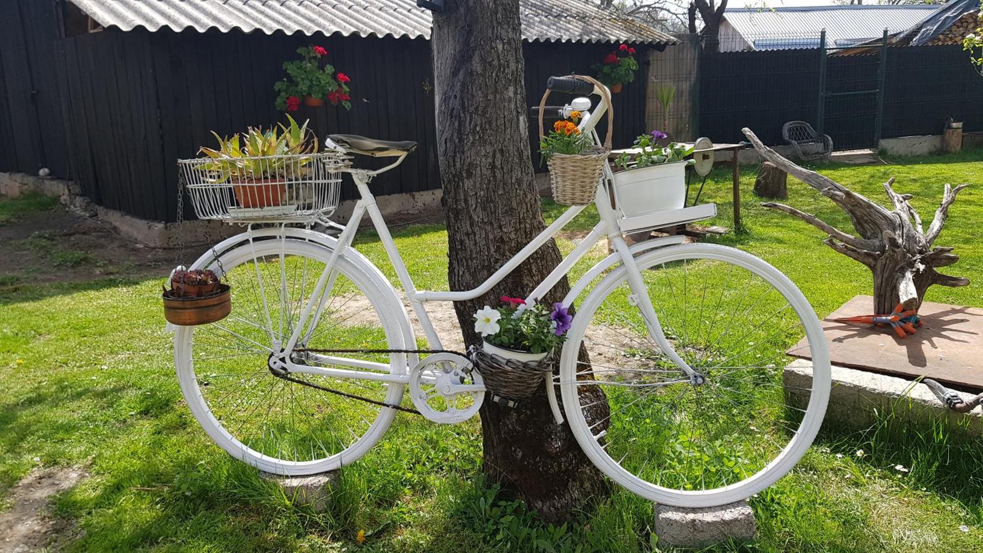 Pensiunea Miraj Polovragi Buitenkant foto